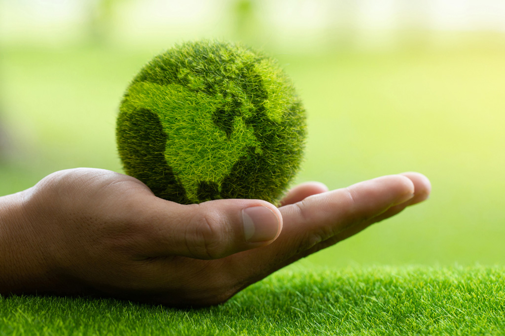 Ecologia